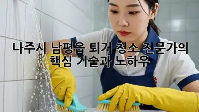 나주시 남평읍 퇴거 청소: 전문가의 핵심 기술과 노하우
