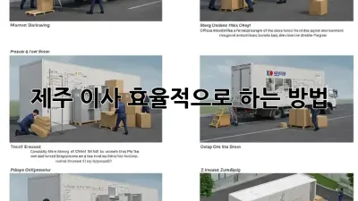 제주 이사, 효율적으로 하는 방법!