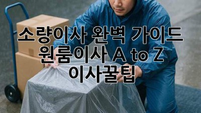 소량이사 완벽 가이드 📦 원룸이사 A to Z #이사꿀팁