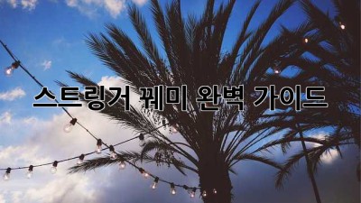 스트링거 꿰미 완벽 가이드